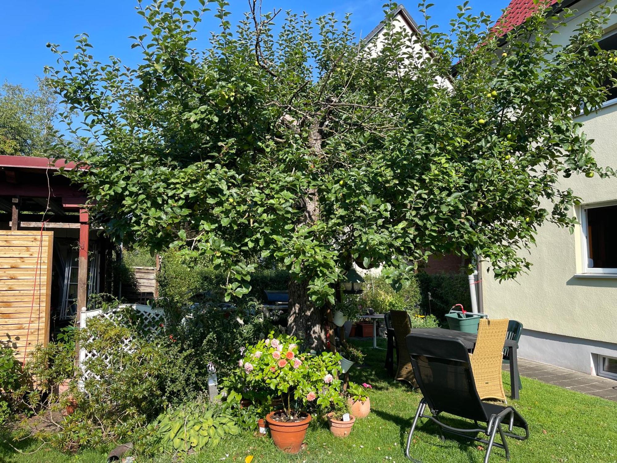 Claudias Apartment - 20 Minuten Bis Messe Nuernberg ภายนอก รูปภาพ